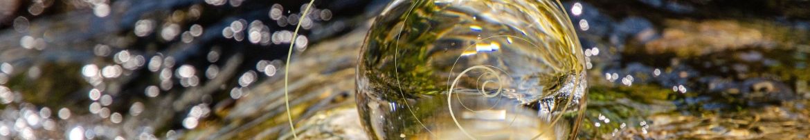 Profilbanner Wolfgang Lugmayr